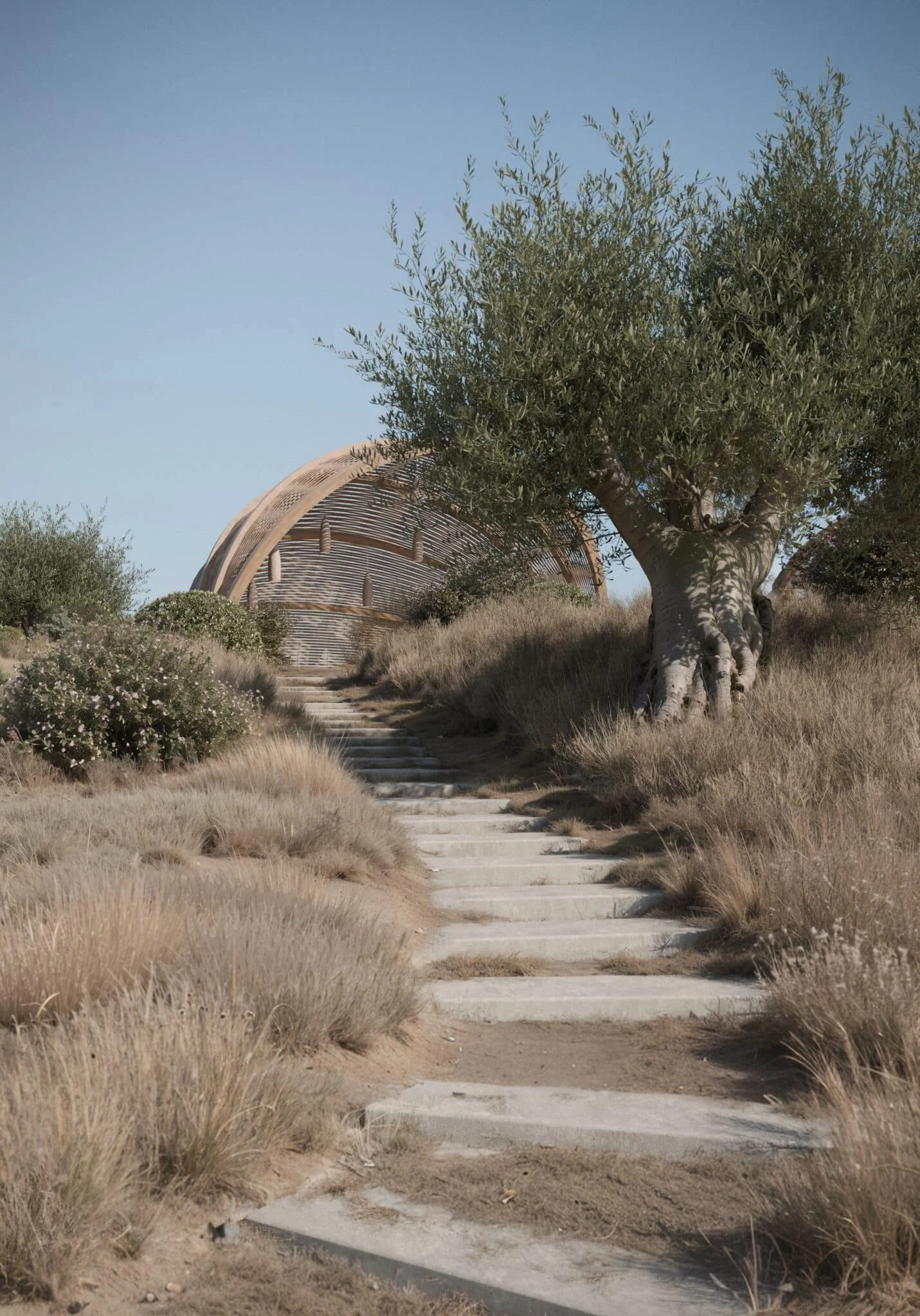 Olive Hill - Architectural Visualisation View 5